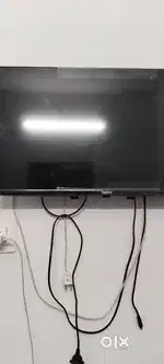 TV  one year old
