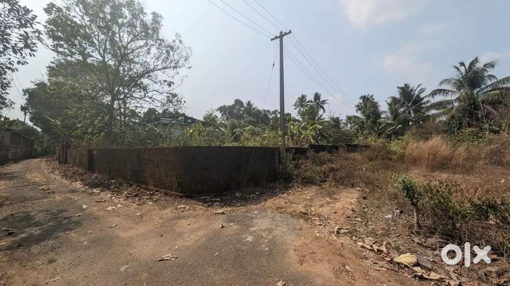 8 Cent Residential Plot for sale in Vengoor, Angamaly