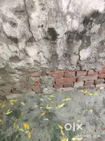 600 gaj plot in Paras Ram Nagar