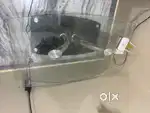 Glass table