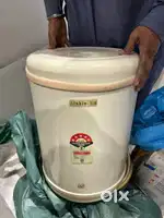 Electric Geyser
