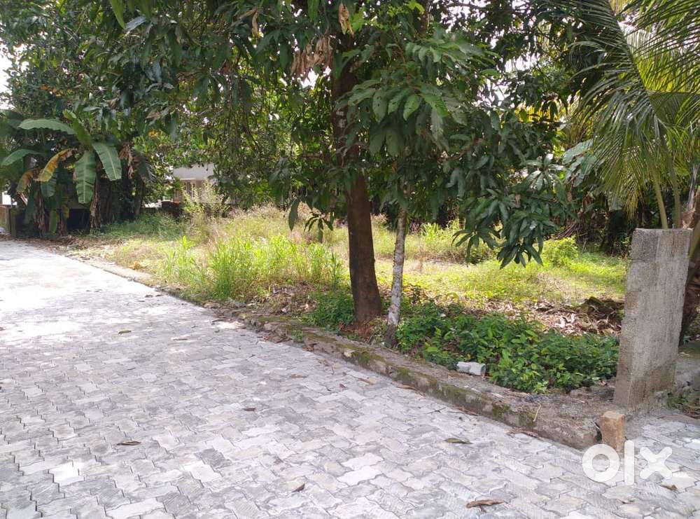Aluva Uc college 7 cent original land near cochin airport