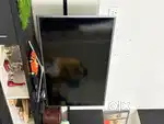 Samsung 43 Inch LED (Smart)