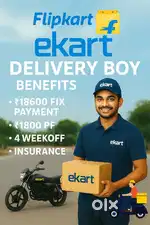 Delivery Rider
