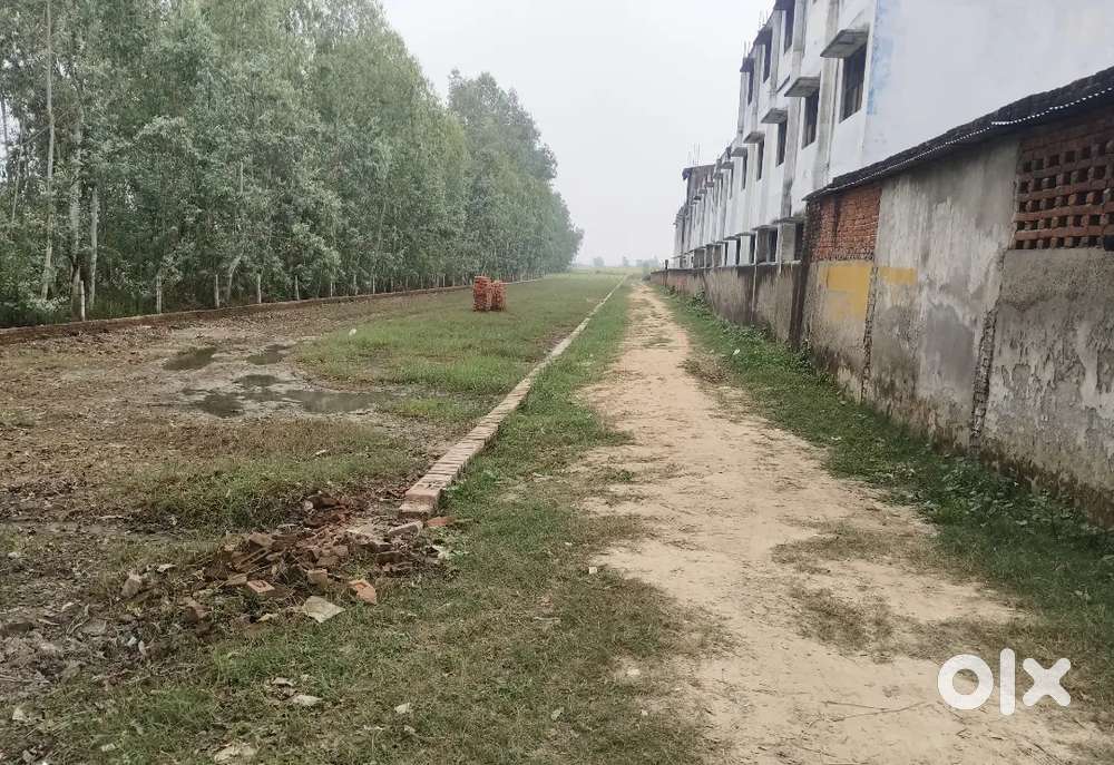 Bareilly to Pilibhit National Highway  avm college bishanpur