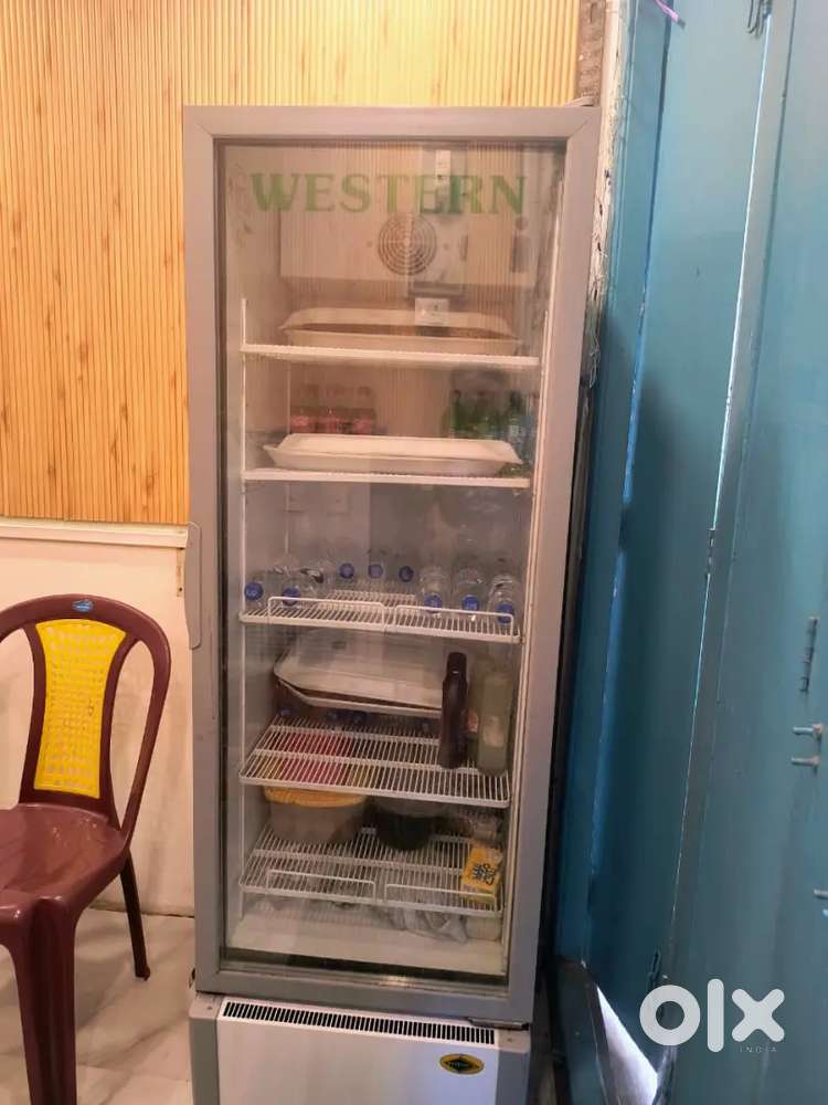 Fridge for storage food