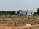 Low Budget Plot For Build House ( Corner Plot )