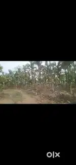 Umling Land on sale