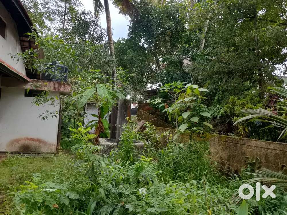 Near Vettamukku 17 Cent Karabhumi Per Cent 11 Lakhs Negotiable