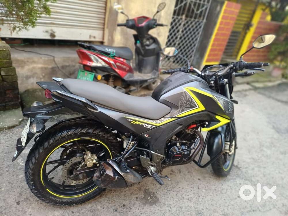 Honda hornet, smooth condition