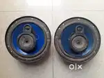 Alpine Speaker