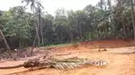 1.19 Acre Land for sale in wadakkanchery
