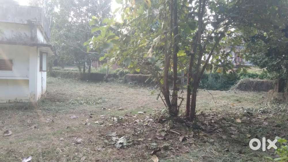 Plot with small house for sale, total area 67 cents at shoranur