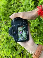 Camera rent