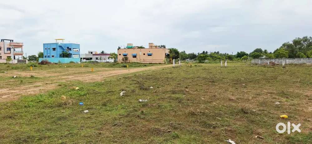 Urgent sale looking for immediate buyer@kayarambedu