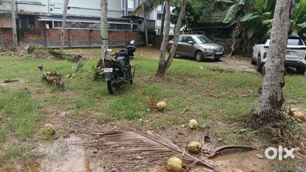 4.5,5 ,10 cent plot near anayara lords hospital