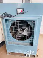 Cooler 3-4 feet 2024
