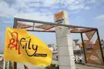 Plot in fully developed colony
