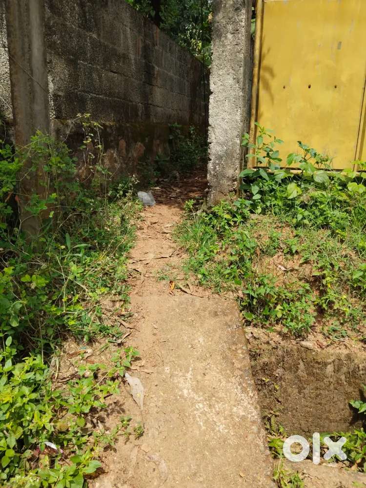 90 സെന്റ് വസ്തു വിൽപ്പനക്ക്