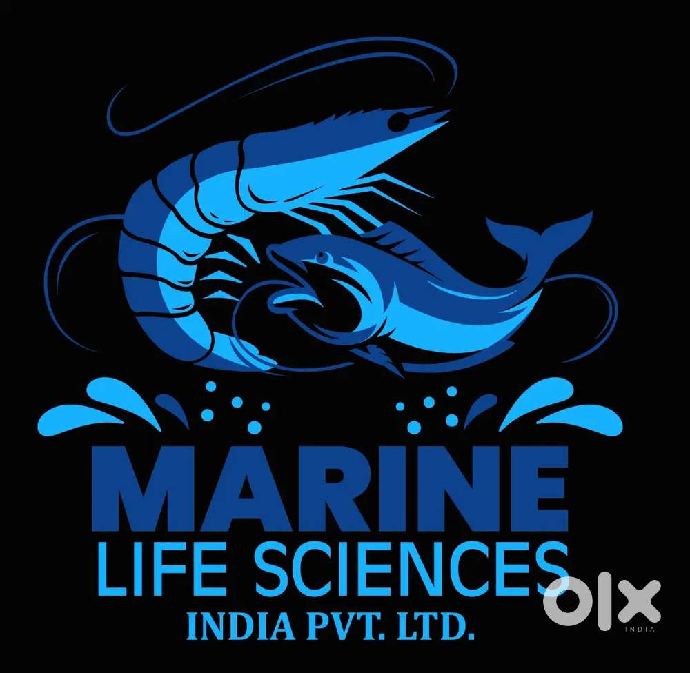 (Female only)Personal assistant cum assistant operations manager