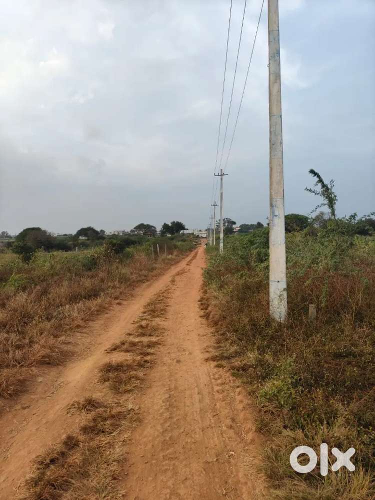 Akarm sakram plot for sale 30×27 810 sf