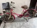 Good condition 6 months old cycle