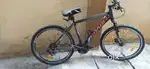 Bicycle-Rodeo