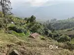 Farm land for sale 35 cents in Mannavanur, kodaikanal