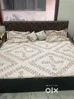 Sofa Cum Bed With Storage Box