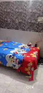 Fully furnished PG for boys