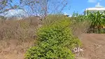 Plots, Row Villa & Bungalows for Sale