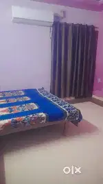 House for sale and rent
