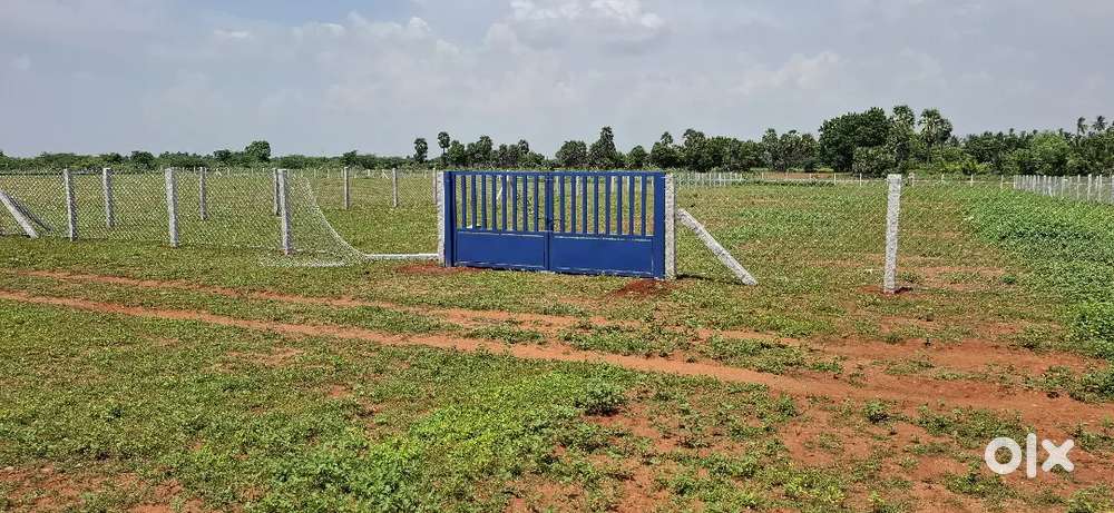 திருச்சி முக்கொம்பு அருகில் 1 சென்ட் 44,000/- மட்டுமே