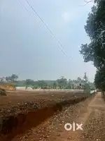 16 cent house plot for sale, 700m from muvpa kakkanad main road