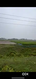 6 Bigha land for sale