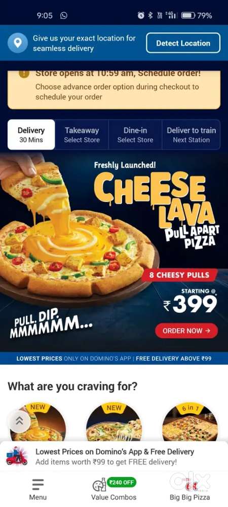 Dominos delivery partner