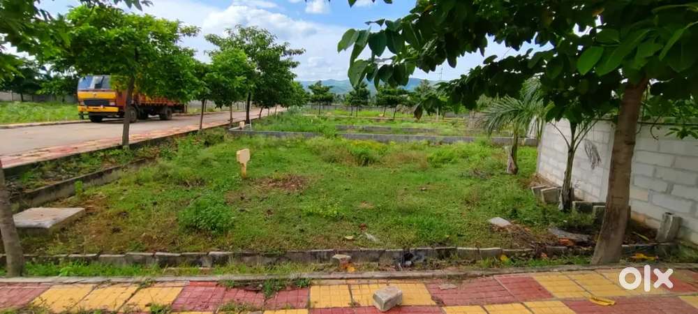 Plot for Sale