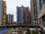 3 BHK Available for Rent in Bharat City Phase 1 Ghaziabad @1000/M