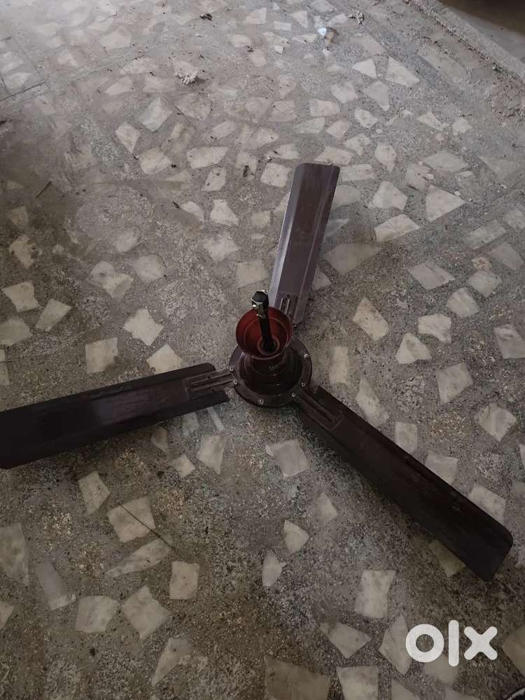 Celling fan