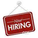 male housekeeper required day / night shift