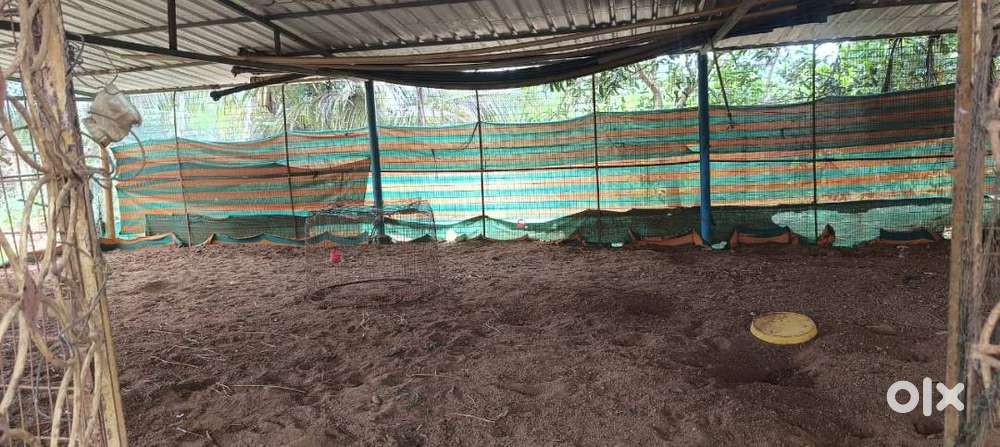 agricultural land for rent