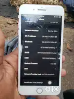I phone 7 plus