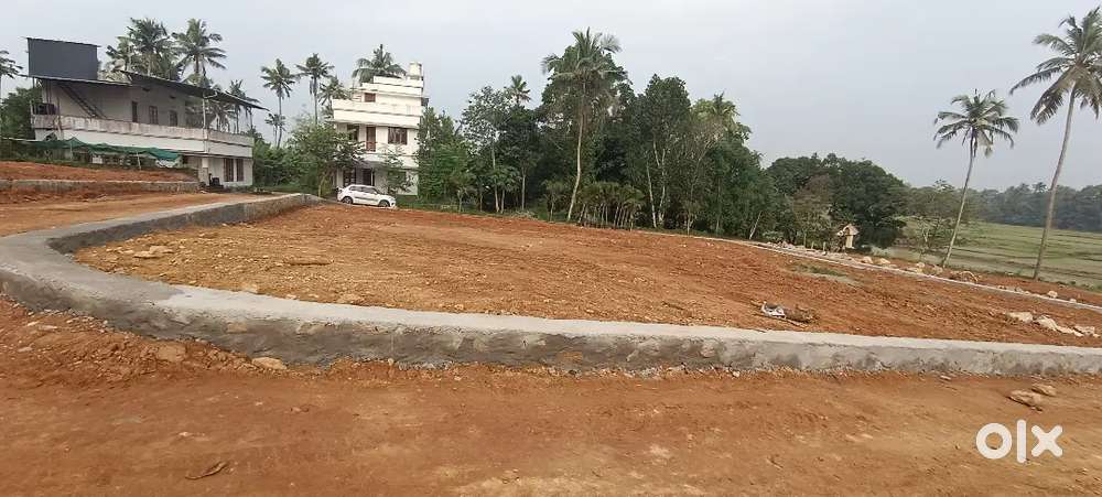 5,6,8, 10 CENT PLOTS ANGAMALY PULIYANAM NEAR 5 MEATER TAR ROAD