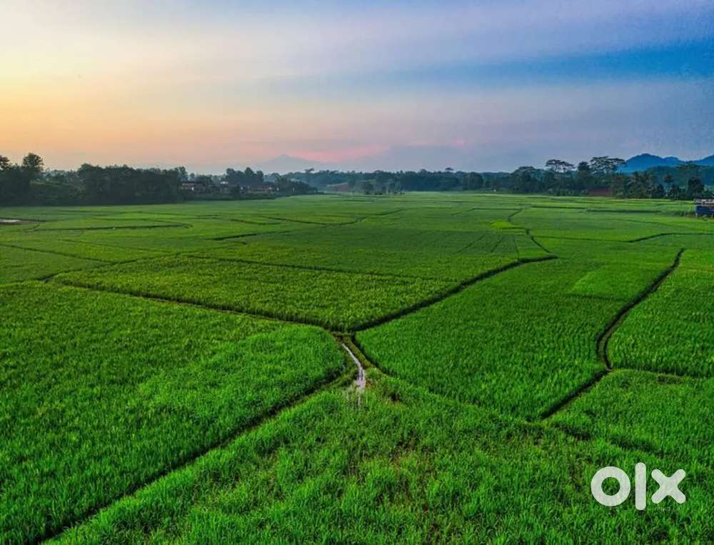 Good location sutible layouts