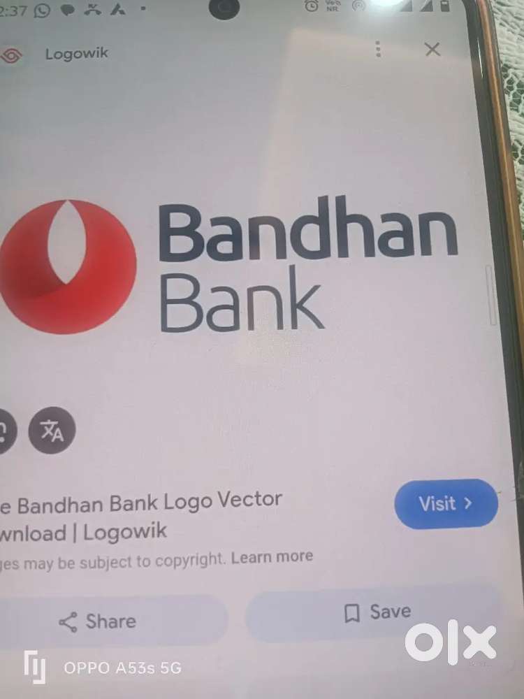 Bandhan bank