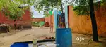 Paise kamai kro melaBachho ki height , and fun and money making system