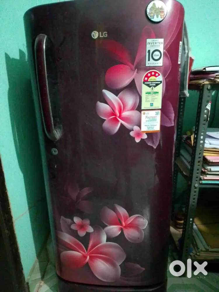 LG  (4 star rating fridge within 5 years warranty)