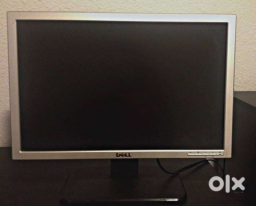 Dell 19 Monitor