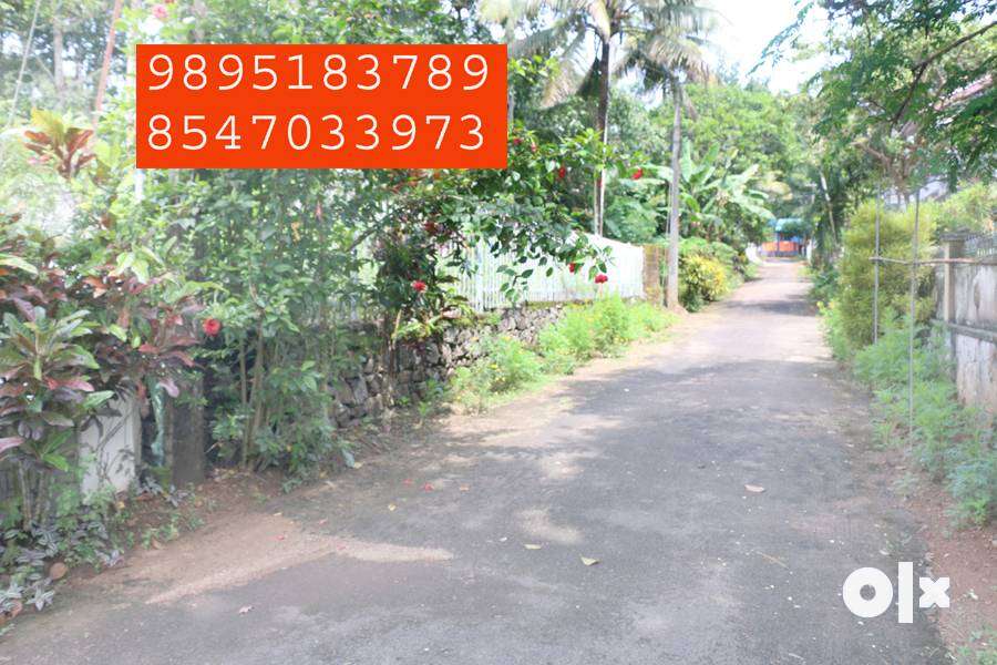 House plot 12 cents at Adichira -Parithrana bhavan-Thellakom-3.60 L/c
