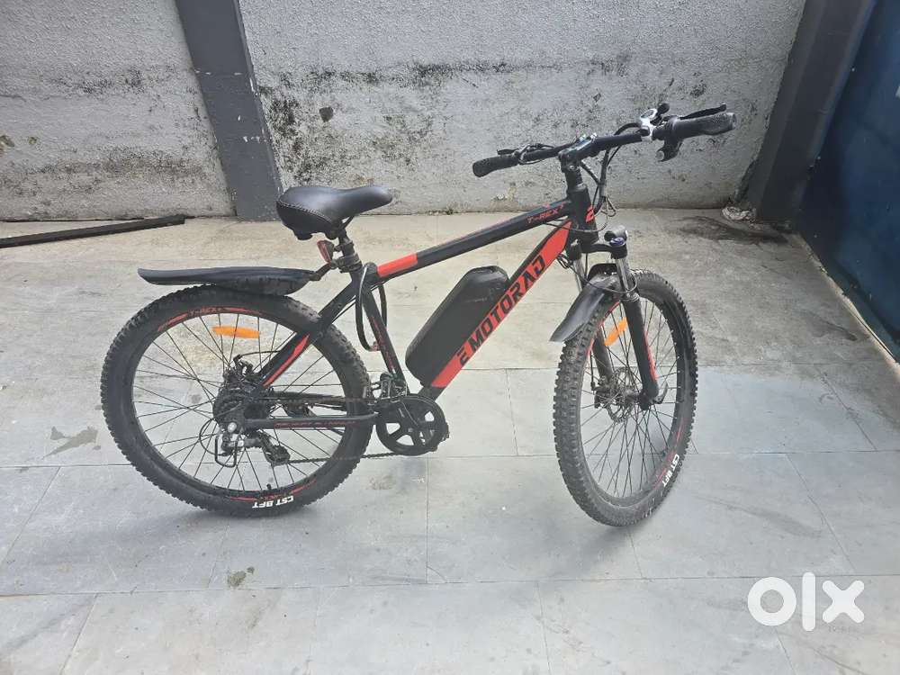 EMotorad T-Rex+ V3 Electric Cycle
